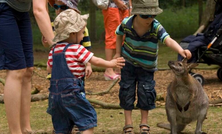 manor wildlife park tickets