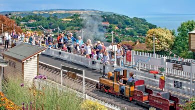 pecorama opening times