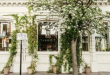 vegan restaurants notting hill