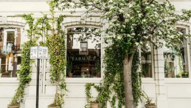 vegan restaurants notting hill