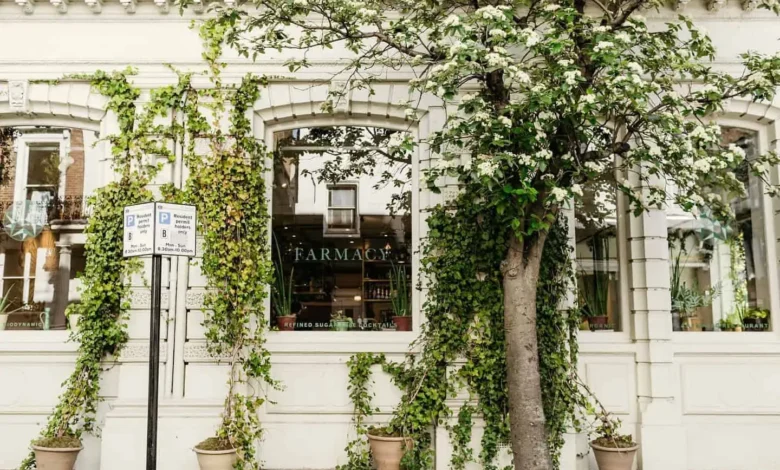 vegan restaurants notting hill