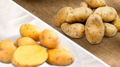yukon gold potatoes uk