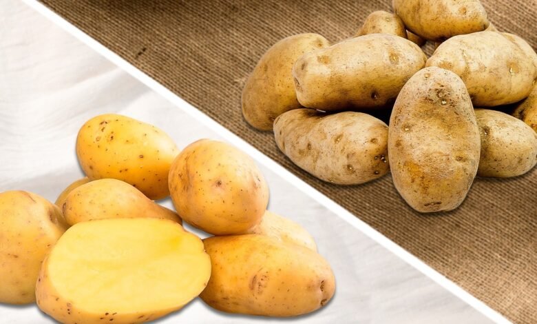 yukon gold potatoes uk