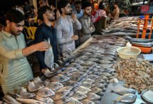 fishing news buy and sell