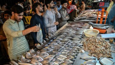 fishing news buy and sell