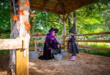 stockeld park discount code