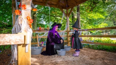 stockeld park discount code