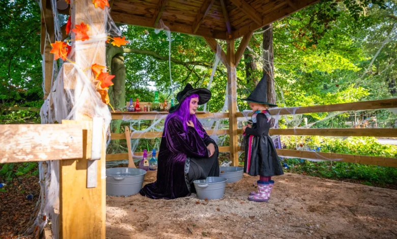 stockeld park discount code