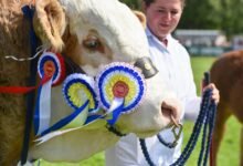 norfolk show tickets