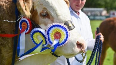 norfolk show tickets