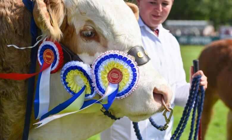 norfolk show tickets