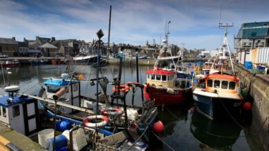 fraserburgh fish market