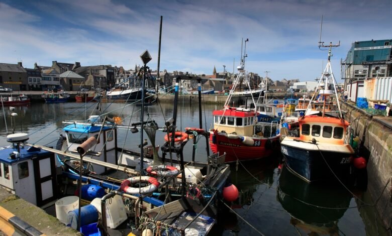 fraserburgh fish market