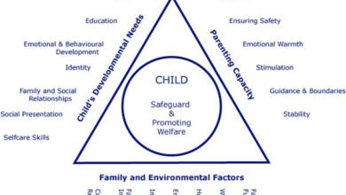 assessment triangle social work