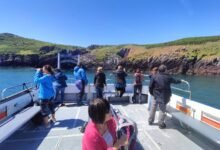 skomer island ferry