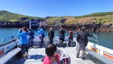skomer island ferry