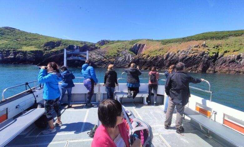 skomer island ferry