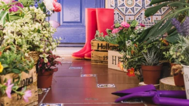 tips decoradyard