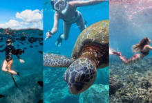 best places to snorkel in hawaii