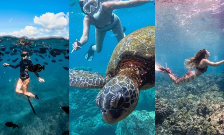 best places to snorkel in hawaii